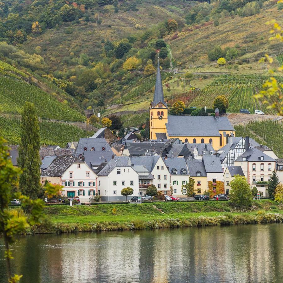 Ferienwohnung Haus Steffen Zeltingen-Rachtig Exteriér fotografie
